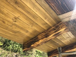 135691539_1826356100873903_907582505893022715_o