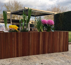 jatobový květináč