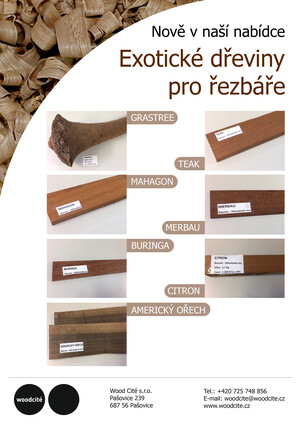Newsletter - Exotické dřeviny pro řezbáře_02 - Wood Cité