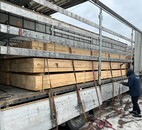 WhatsApp Image 2022-03-16 at 112856 (2)